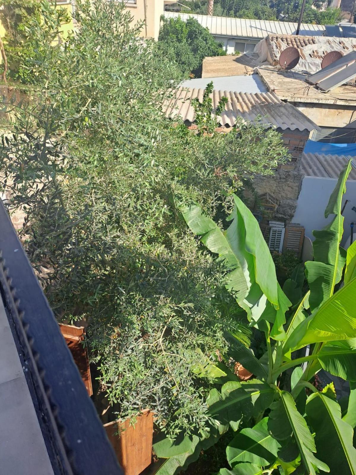 Magic Moon Guest House Famagusta  Bagian luar foto
